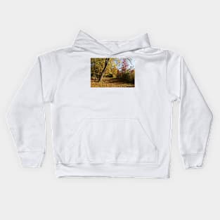 Golden afternoon Kids Hoodie